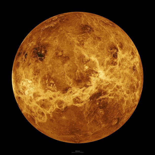 Venus - Metal Print