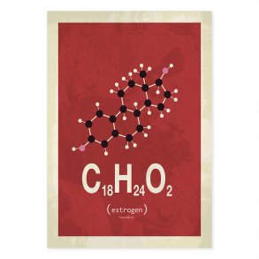 Estrogen