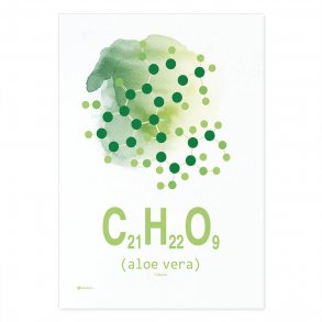 Aloe Vera - Aqua