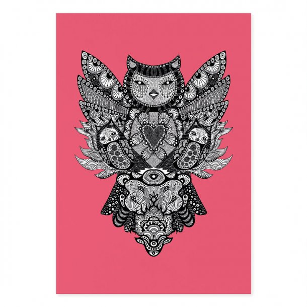 Owl