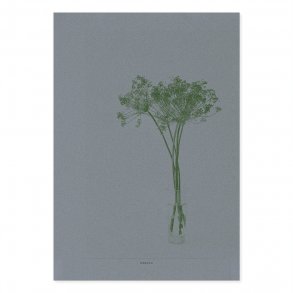 Crown Dill - Grey