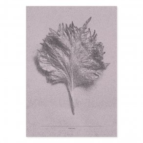 Shiso Leave - Pink