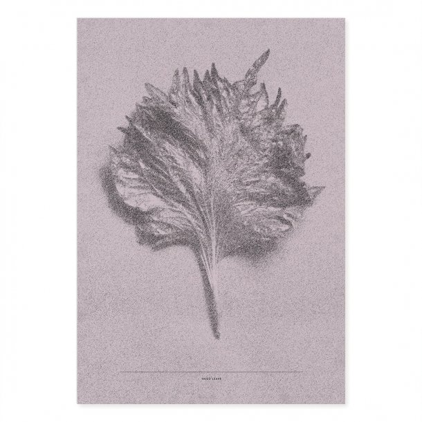 Shiso Leave - Pink