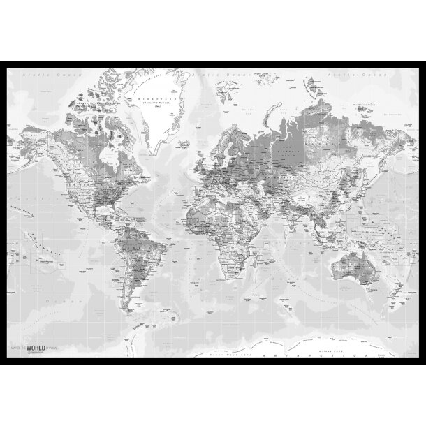 Pin Board - World Map - Light