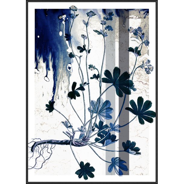 Flora Danica - Blue Flower 02