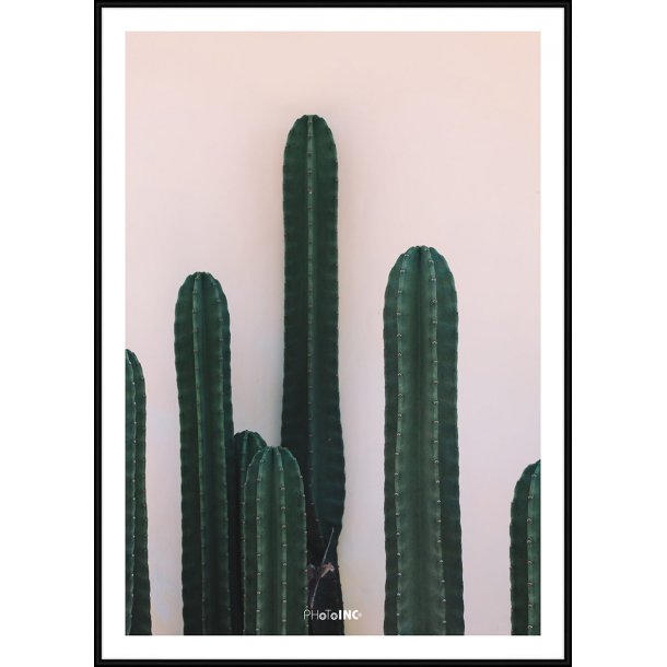 Naked Cactus