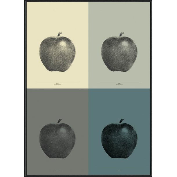 Apple - 4-Colour