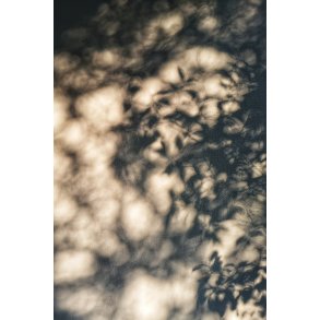 Linen canvas - Shadow Composition