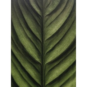 Metal print - Perfect Green