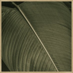 Framed art - Perfect Green II