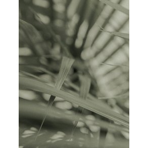 Linen canvas - Mystique Leaves