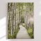 Canvas - Forest Path