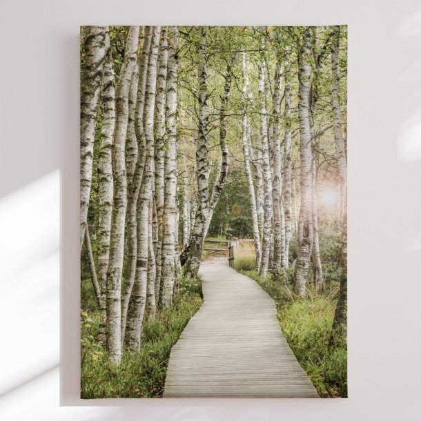 Canvas - Forest Path