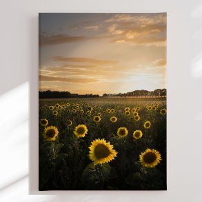Canvas -  Golden Sunflower Field - Christian Lindsten