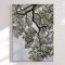 Canvas - Ethereal Canopy - Shot by Clint