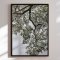 Canvas - Ethereal Canopy - Shot by Clint