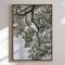 Canvas - Ethereal Canopy - Shot by Clint