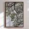Canvas - Ethereal Canopy - Shot by Clint