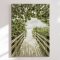 Canvas - Tropical Beach Path - Melanie Viola