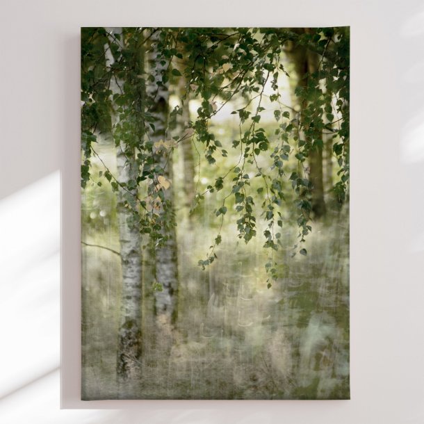 Canvas - Dreamy Birch Forest - Christina Sillen