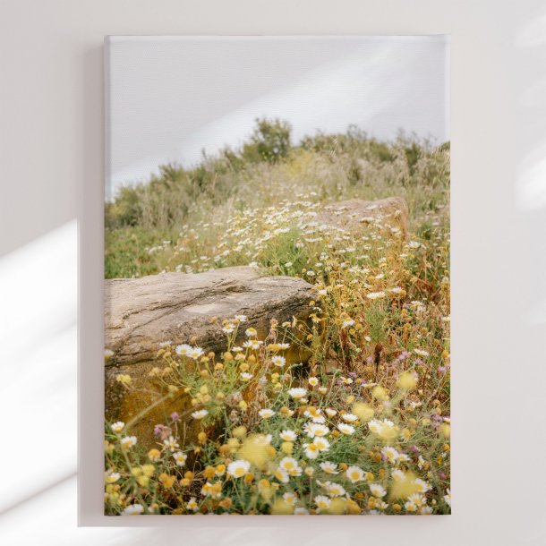 Canvas -  Golden Wildflower Meadow - Raisa Zwart