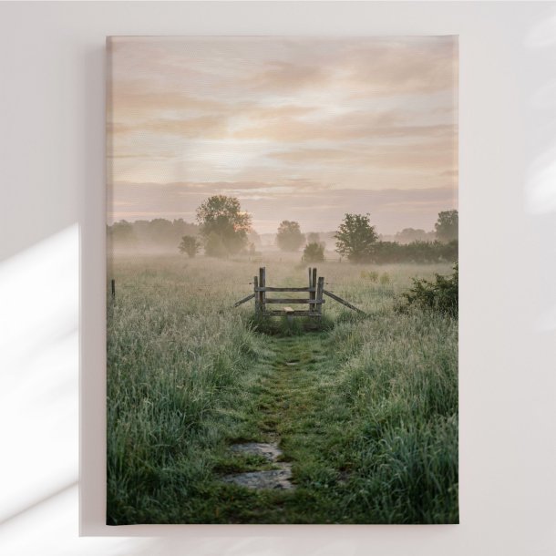 Canvas -  Misty Morning Path - Andreas Magnusson