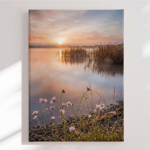 Canvas - Misty Lake Morning Glow - Andreas Magnusson