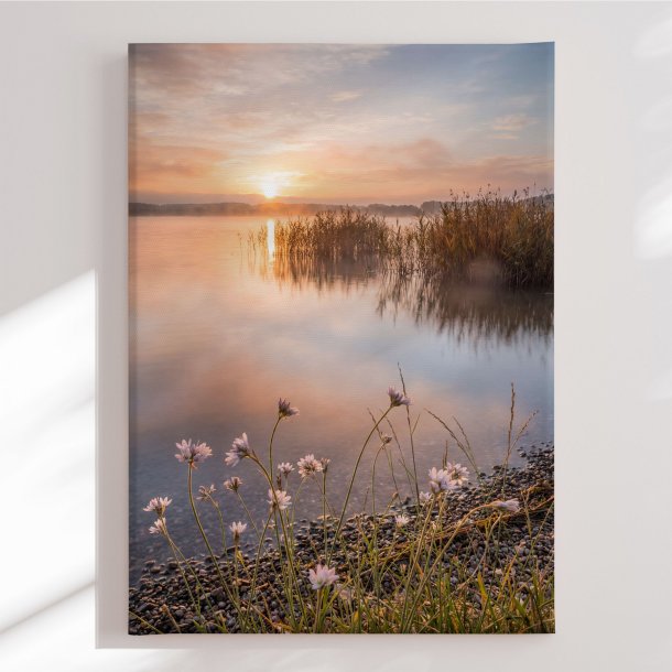 Canvas - Misty Lake Morning Glow - Andreas Magnusson