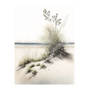 Beach Grass