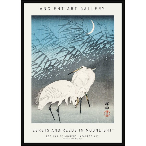 Egrets And Reeds In Moonlight