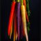 Rainbow Carrot