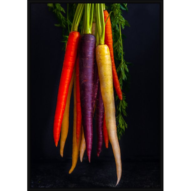 Rainbow Carrot