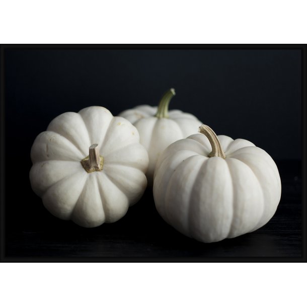 White Pumpkins