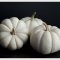 White Pumpkins