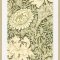 Chrysantemum Pattern - William Morris