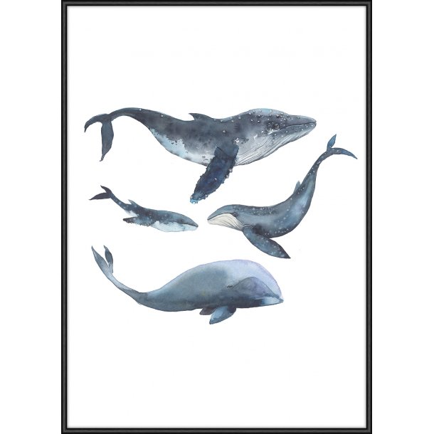 Whales