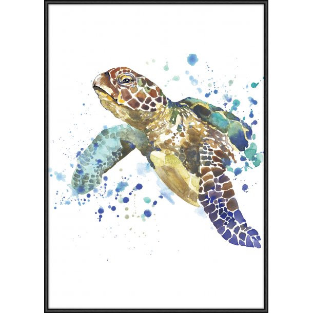 Sea Turtle