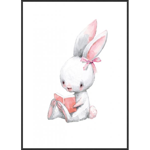 Bunny Boo Book