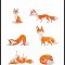 Fox Yoga