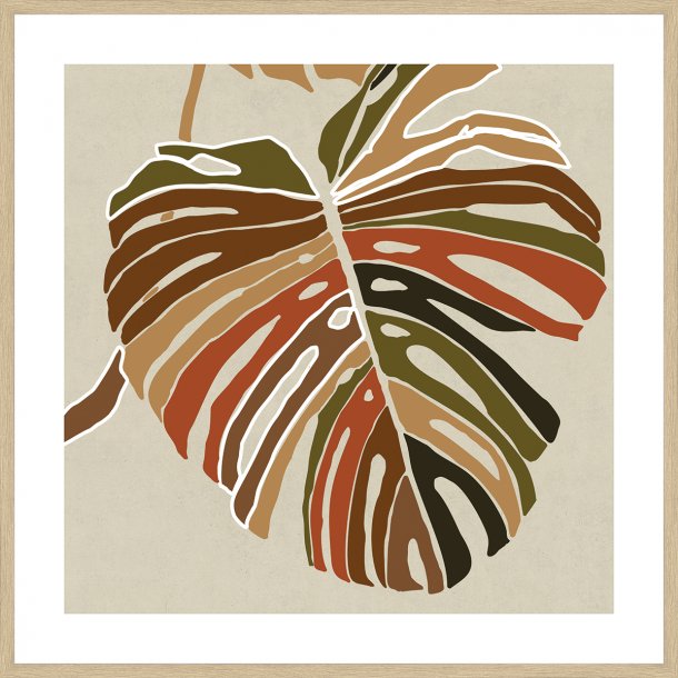 Colorful Monstera