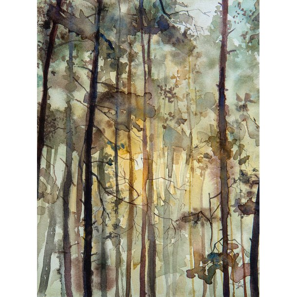 Watercolor Forest