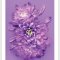 Purple Chrysanthemum