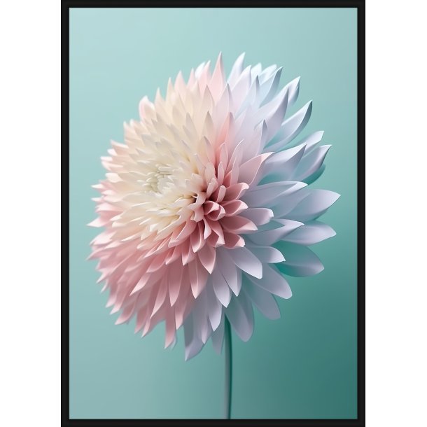 Delicate Dahlia