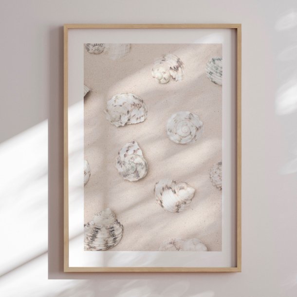 Indramning - Coastal Sand Shells