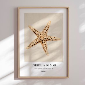 Indramning - Starfish - Merel Takken