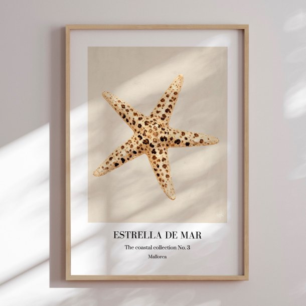 Indramning - Starfish - Merel Takken