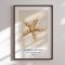 Indramning - Starfish - Merel Takken