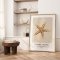 Indramning - Starfish - Merel Takken