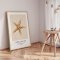Indramning - Starfish - Merel Takken