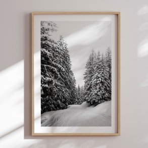 Framed poster - Into the Woods